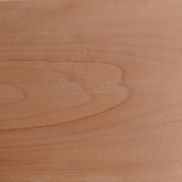 tavola faggio massello5